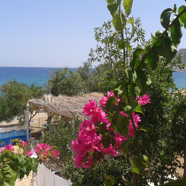 Hotel Minos Beach