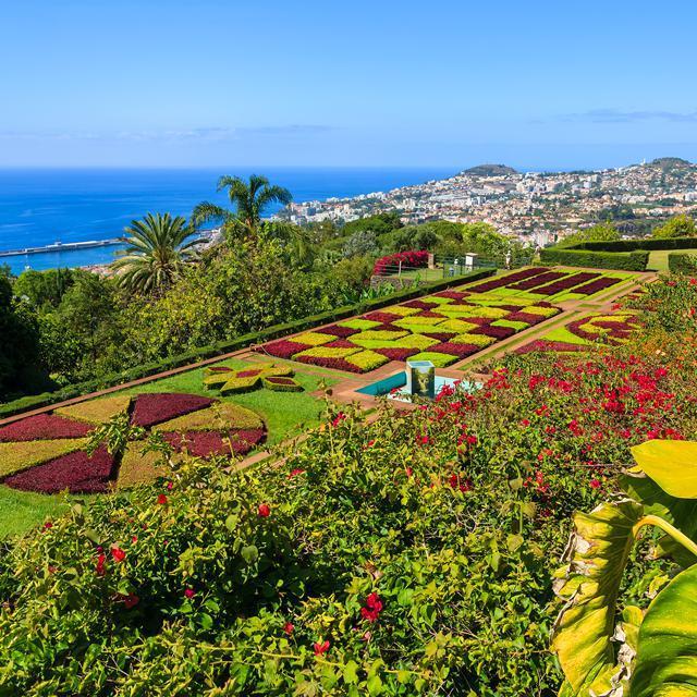 Fly & Drive Madeira Charms of Madeira - Inclusief huurauto