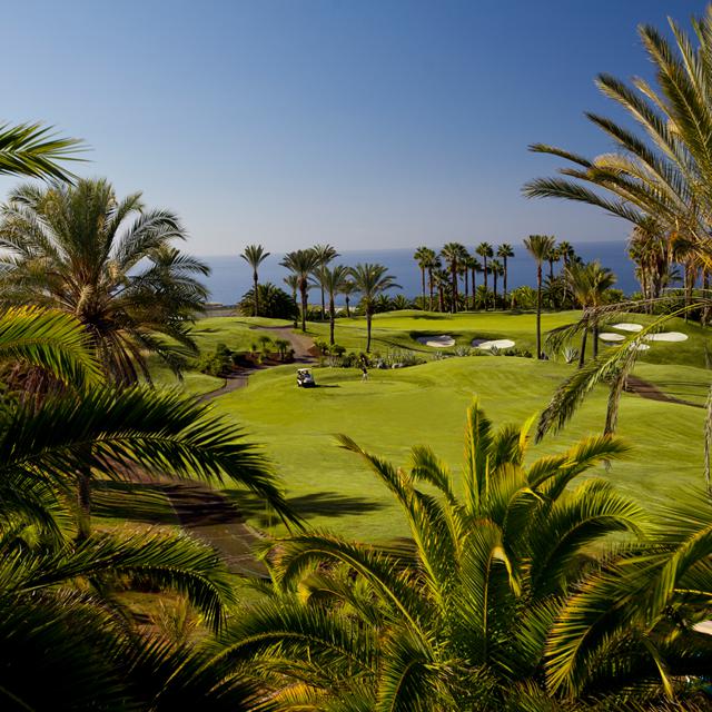 Hotel Dreams Jardin Tropical