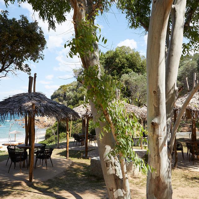 Hotel Elivi Skiathos