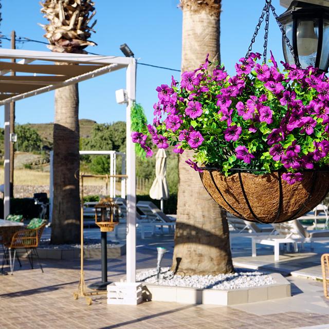 Appartementen Marilena