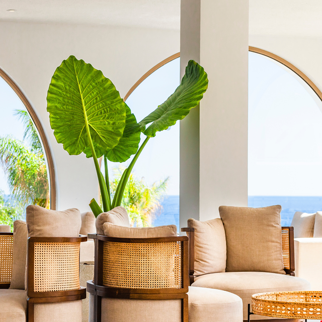 Hotel Blue Sea Island