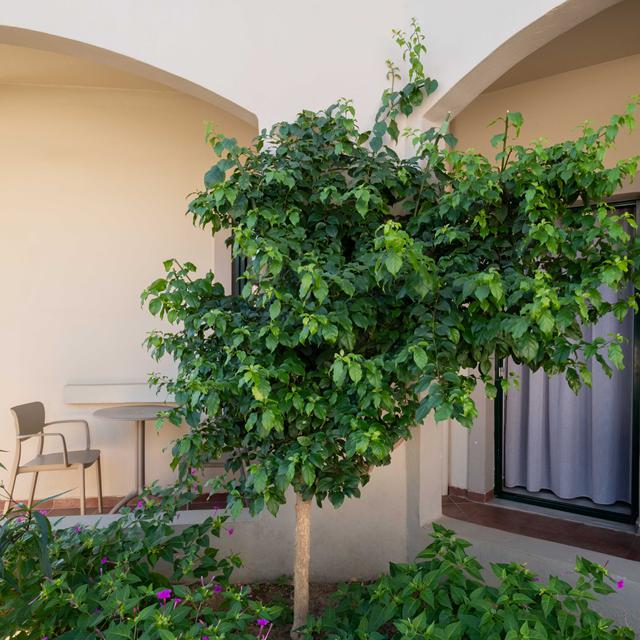 Aparthotel Romantica