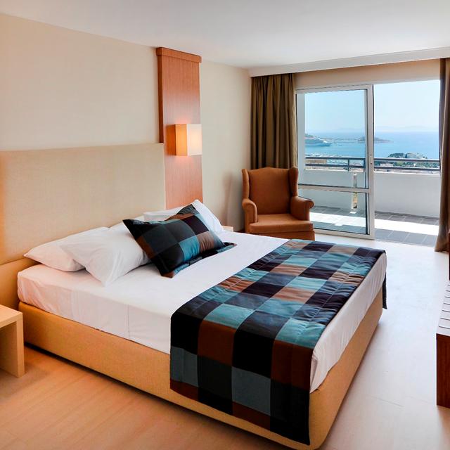 10606606-Original