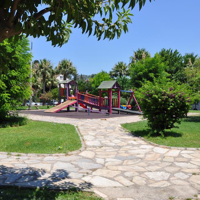 43091433-Original