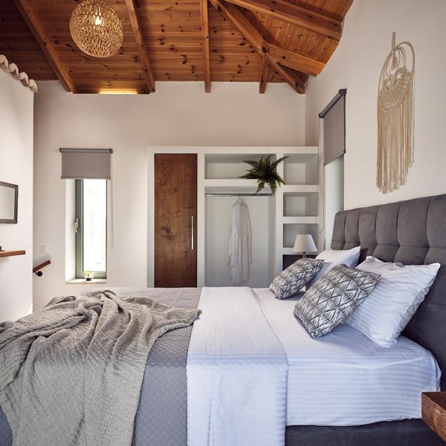 43221553-Original