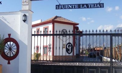 Fuente La Teja