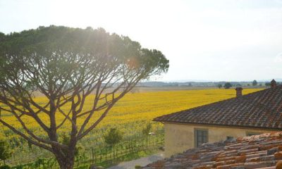 Le Terre dei Cavalieri Hotel