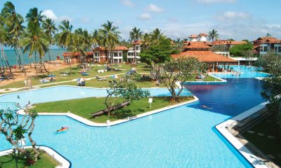 Club Dolphin