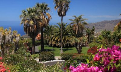 Bungalows Palma Jardin