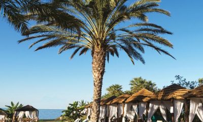 Hotel Constantinou Bros Athena Royal Beach – adults only