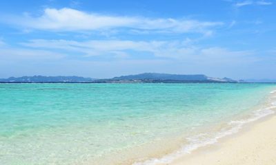 Flamingo Paradise Beach Hotel – adults only