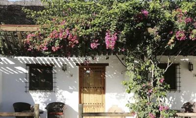 Ardea Purpurea Lodge