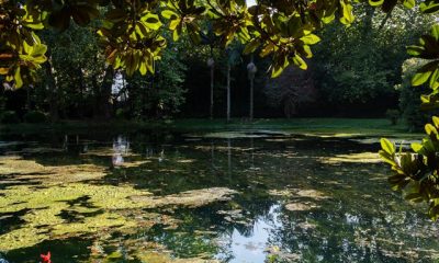 Cantos Green Garden