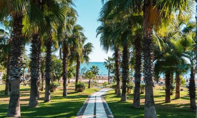 Hotel Sural Resort