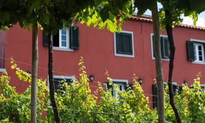 Quinta das Vinhas