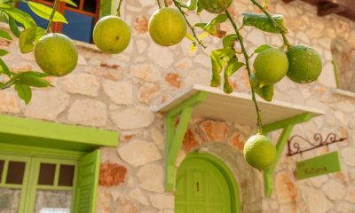 Lithina Villas