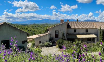 Finca las Nuevas