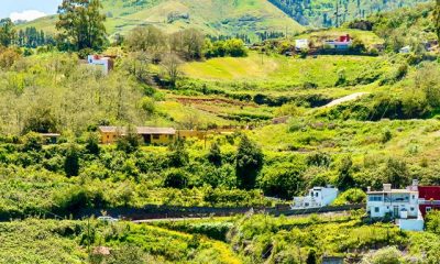 Finca Natura Canaria