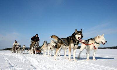 8 daagse excursiereis Ontdek Arctic Lakeland